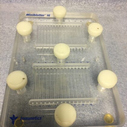 MEMBRANE BLOTTERS