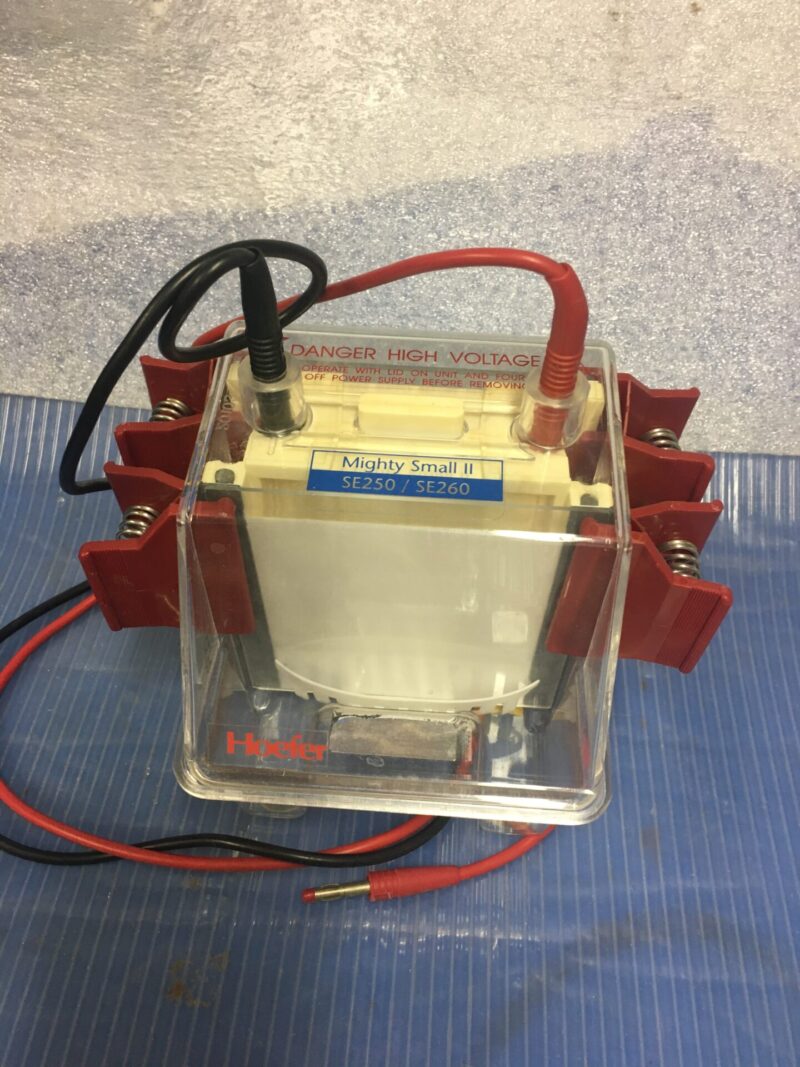 Hoefer Mighty Small II SE260 mini gel electrophoresis system