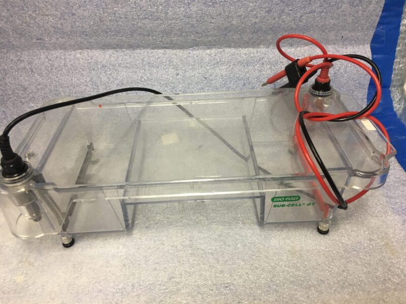 Bio-Rad Sub-CellGT Basic