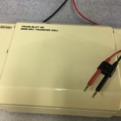 Bio-Rad Trans-Blot SD transfer cell