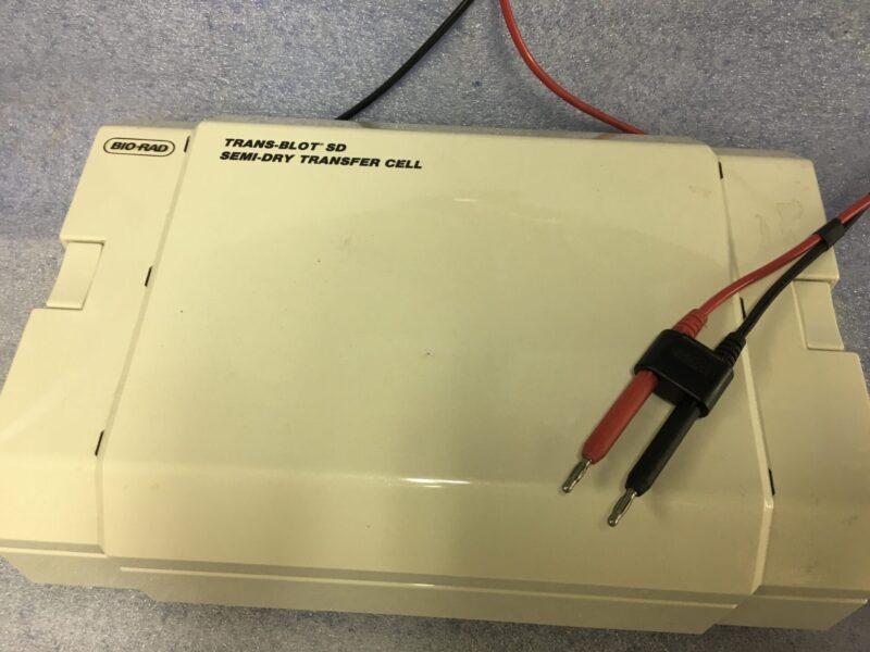 Bio-Rad Trans-Blot SD transfer cell