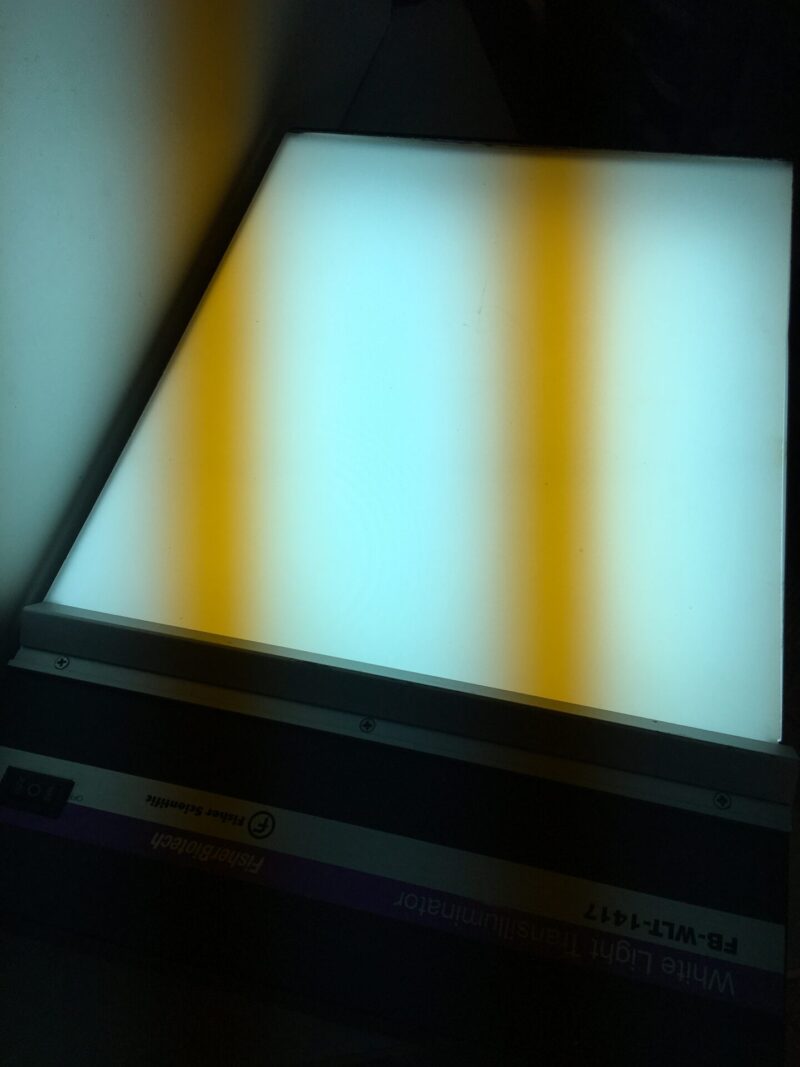 Fisher Biotech fluorescent white light transilluminator - Image 3
