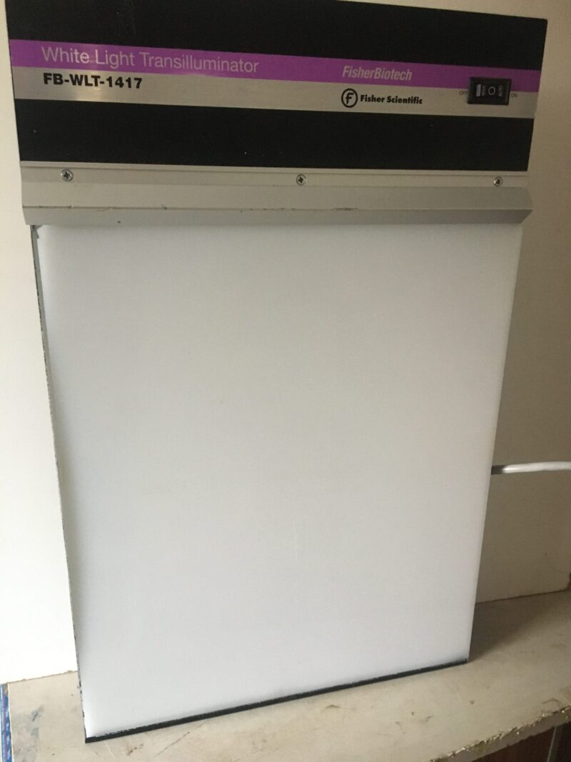 Fisher Biotech fluorescent white light transilluminator