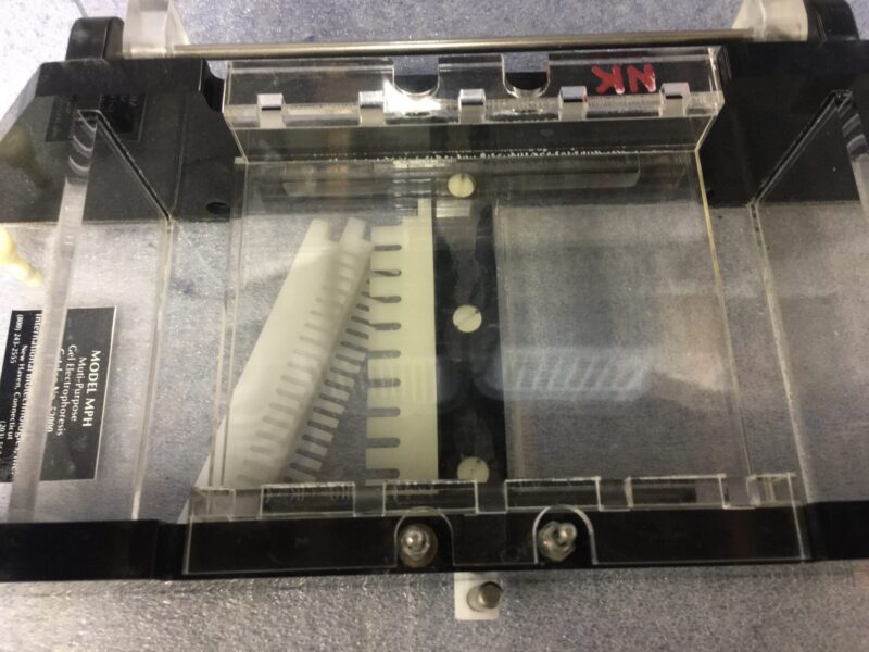 IBI multipurpose model MPH subcell electrophoresis system - Image 2