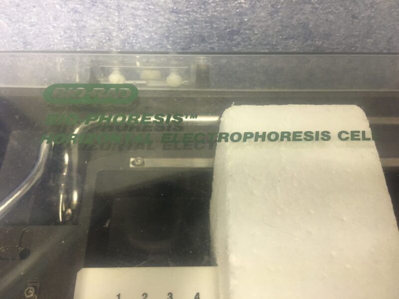 Bio-Rad Biophoresis horizontal electrophoresis system - Image 2